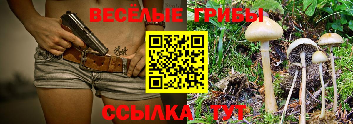 Сланцы  Псилоцибиновые грибы MAGIC MUSHROOMS  Вход с VPN 