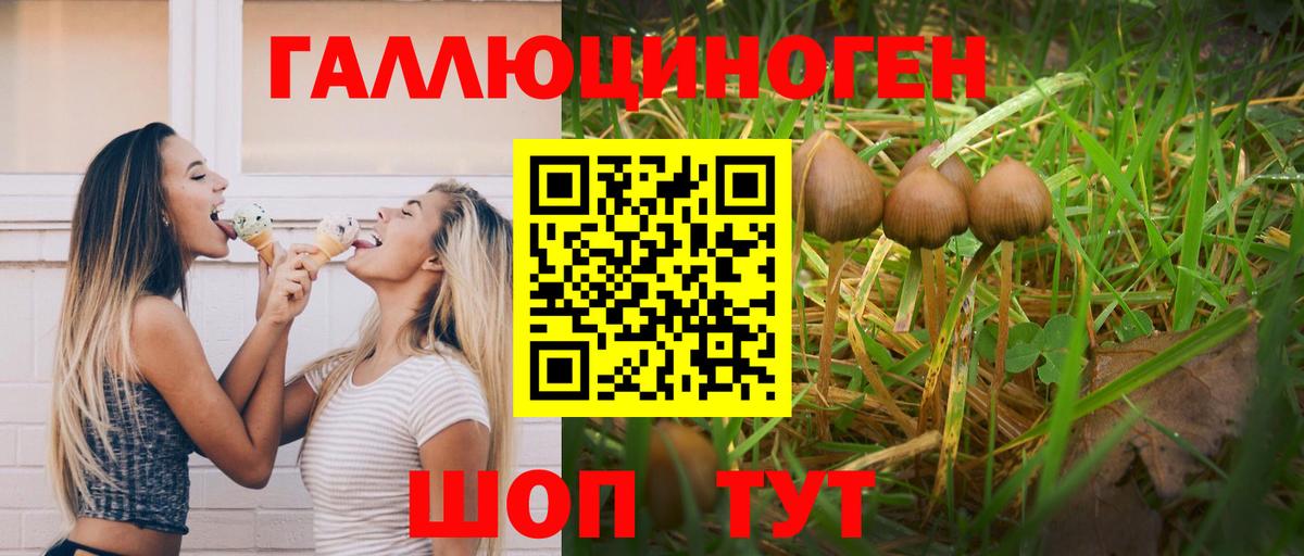 Псилоцибиновые грибы Psilocybe Сланцы